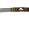 Case Sod Buser Jr 77461 Damascus Vintage Bone, Navaja