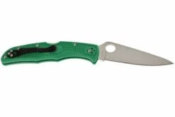 Spyderco Endura 4 Verde, C10FPGR